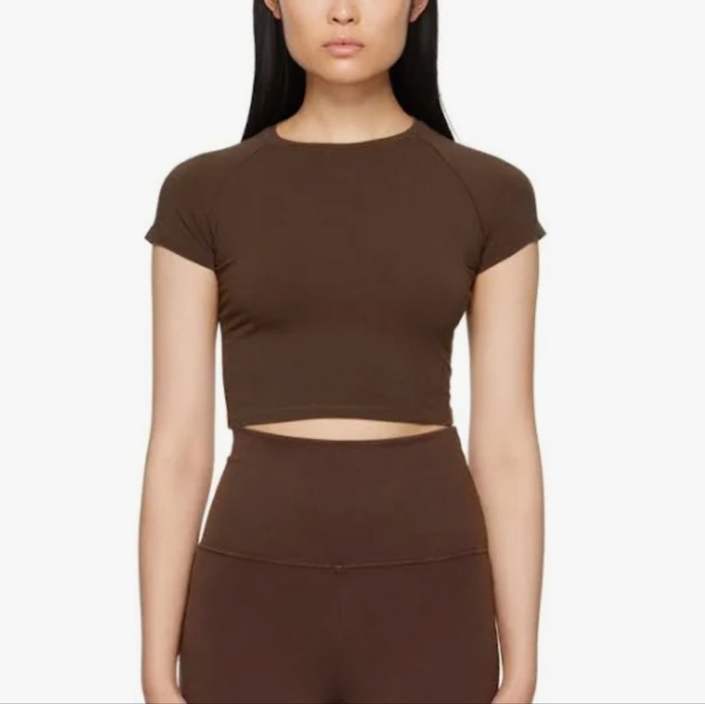 NWT Skims New Vintage Cropped Raglan T-shirt size 4X